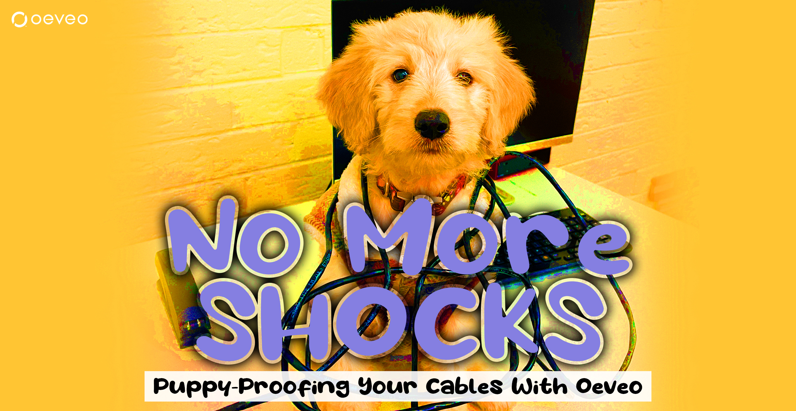 No More Shocks! Puppy Proofing Your Cables With Oeveo