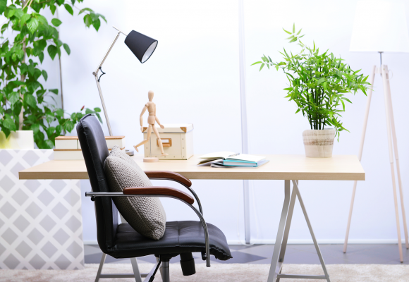 What 250 Case Studies Say About Home Office Ergonomics