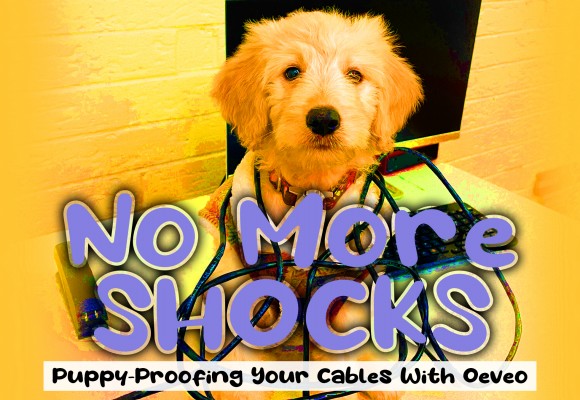 No More Shocks! Puppy Proofing Your Cables With Oeveo